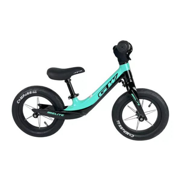 Bicicleta PUSHBIKE Gw Elite Rin 12P Menta Negro Magnesio